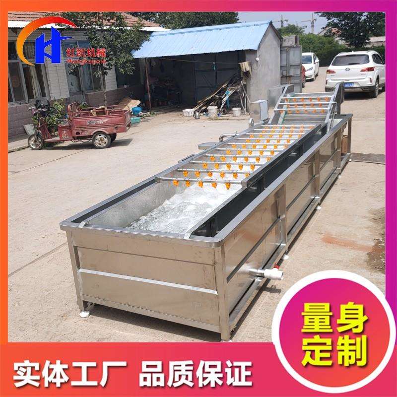 供应蔬菜气泡清洗机生姜气泡清洗机翻浪式全自动果蔬清洗设备