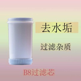 厂新去水垢过滤饮水机净水桶家用直饮通用可加水滤水净水器前置促