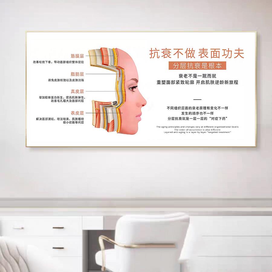 皮肤管理医美诊室宣传挂画美容院墙面广告画结构剖面分析图装饰画