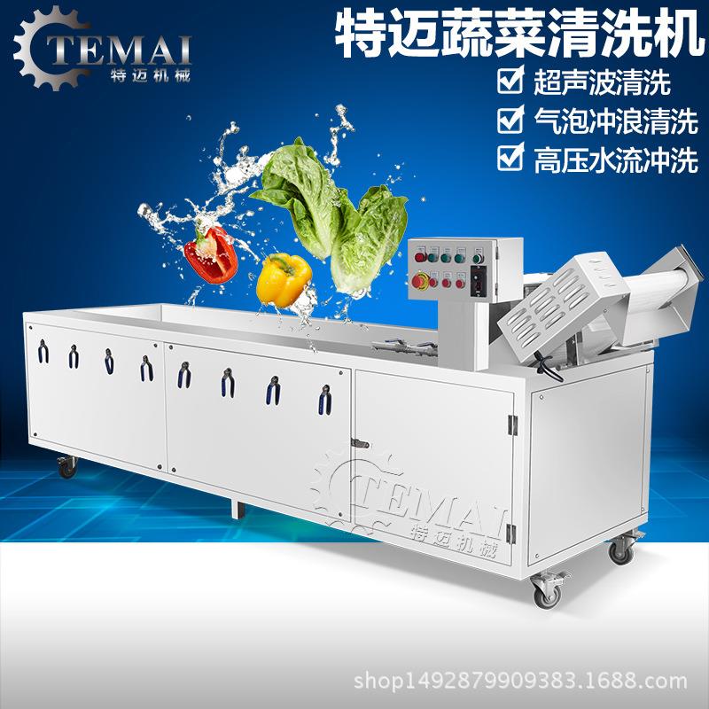 现货供应不锈钢毛豆气泡清洗机商用多功能雪莲菌臭氧清洗设备