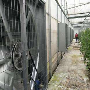 抽风式散热器养殖工机业扇扇散热风负压风机轴流风排风扇换风SX-