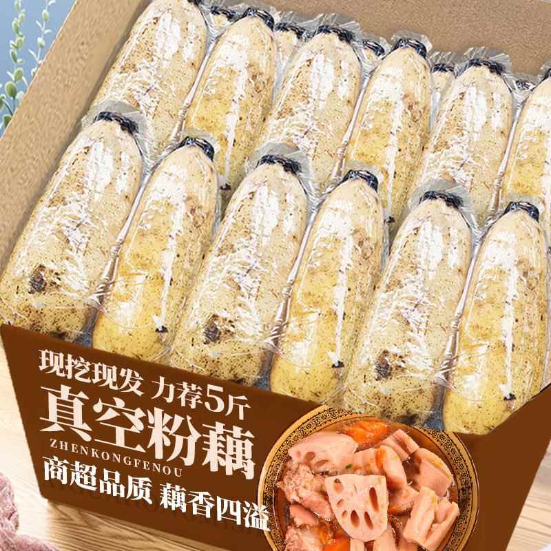 新鲜洪湖粉藕真空包装农家新鲜现挖煲汤粉糯炖汤九孔糯米藕莲藕