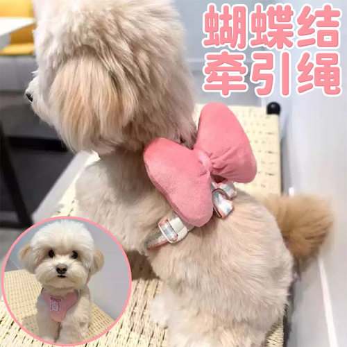 蝴蝶结狗狗牵引背心宠物狗牵引绳
