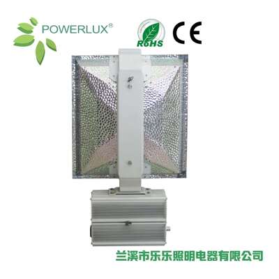 DE CMH630W fixture,低频陶瓷金卤灯镇流器一体机，ballast