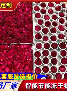 冻机家用可民用冻干设备BZU用干型蓝莓水果蔬菜真空冷冻商干大燥