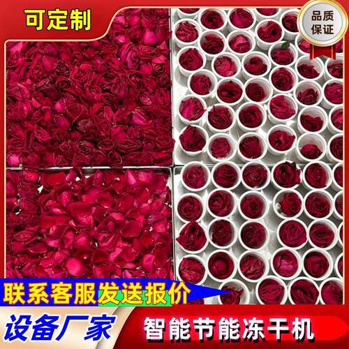 220V冻干机SUS304不锈钢冻干设备FD冻干混合果蔬真空冷冻干燥机