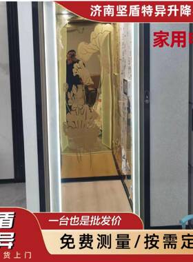 家用电梯液压式小型无地坑梯别墅升降机别墅阁楼观光梯家用电梯