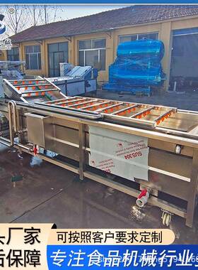 蔬菜气泡清洗机芋头鼓泡清洗设备变频调速304材质佳圣特