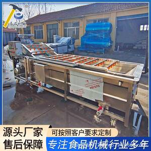 蔬菜气泡清洗机芋头鼓泡清洗设备变频调速304材质佳圣特