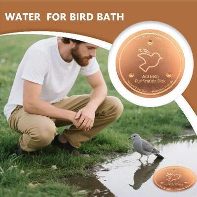 Universal Bird Bath Copper Disk With 3 Point Support Bird