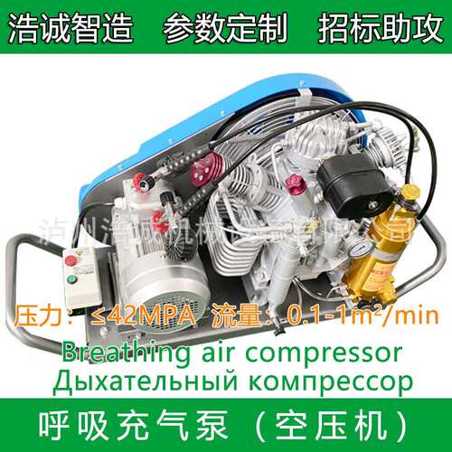 浩绿升牌潜宝水华50HC-X100BA诚R打气泵维修0保养
