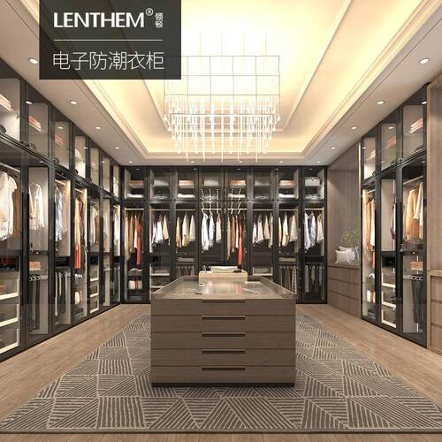 领顿（LENTHEM)防潮衣柜DW-150&210除湿轻奢包包卧室组合储物柜