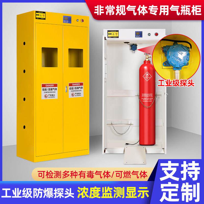 工业探头全钢防爆气瓶柜实验室有毒有害氮气氧气二氧化氮气体柜