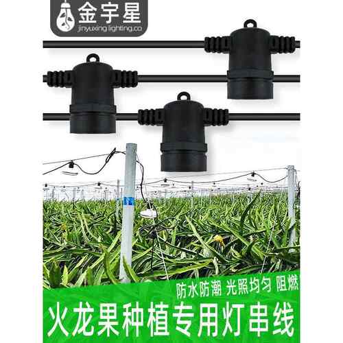 火龙果养殖灯线一体彷太阳农业大棚植物生长补光灯led百香果室外