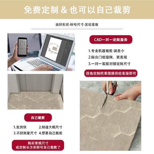 家用玄关进DM-1609门地地垫客厅户门脚垫205入新款现代简2约风毯