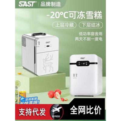 SAST车载迷你小冰箱宿舍出租房小型母乳单人用冷藏箱车家两用青莹