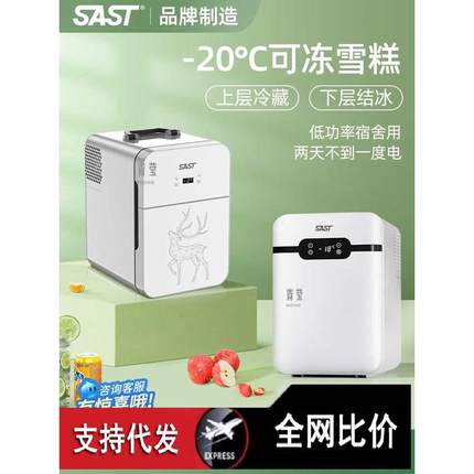 SAST车载迷你小冰箱宿舍出租房小型母乳单人用冷藏箱车家两用青莹