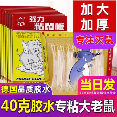 捕鼠器神器家用超强力粘鼠板粘捉大老鼠贴加大加厚灭正品一窝端