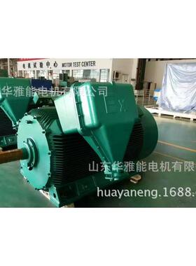 YH-315L2-8-110电机船用防爆YSF电机绿色发展节约高效蓝天