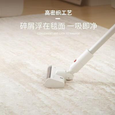 短绒客厅地毯奶油卧室地垫家用沙发茶几毯防水防污轻奢高级大地毯