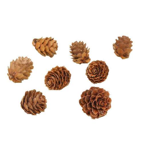 Simulated Songhua 2-3cm dried pine ball flowers圣诞装饰摆件