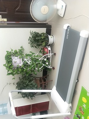 小乔SmartRun跑步机怎么样体验一周揭秘感受