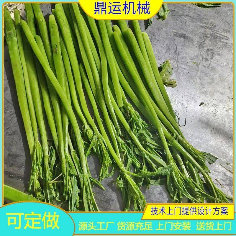 现货供应贡菜去皮机铁杆山药削皮皮机贡菜削皮机