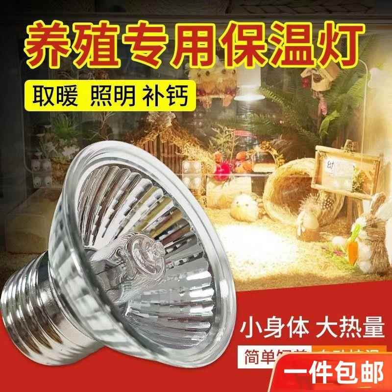 陶瓷加热灯取暖宠物太阳灯高温爬虫陆龟小鸟保温灯泡鹦鹉保温灯泡