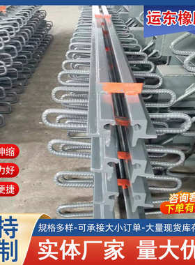 桥梁伸缩缝装置RBKF SSFB 80型160型240型单元多向变位梳齿板缝