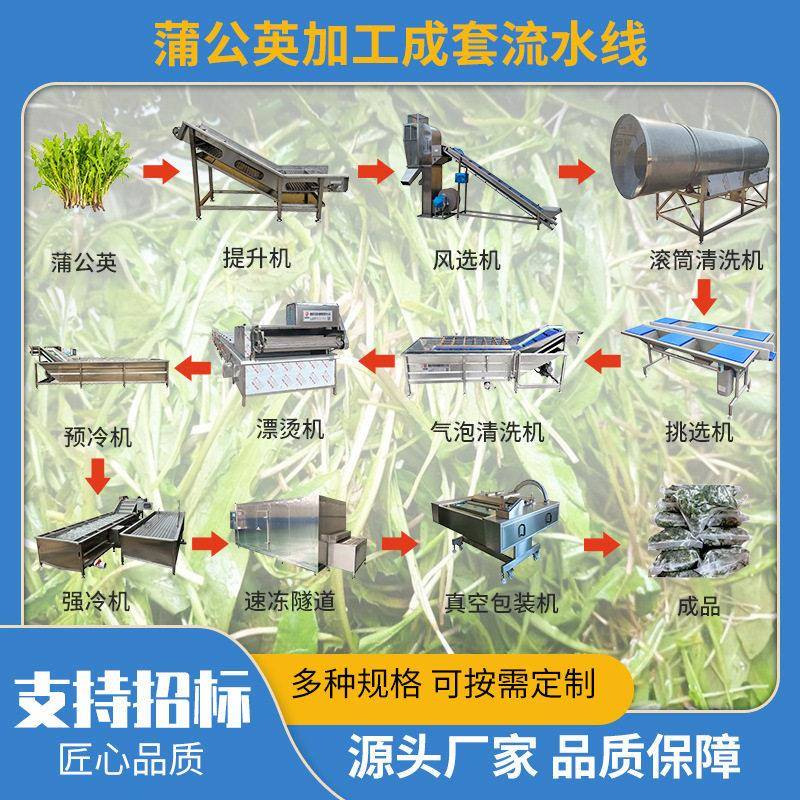 紫苑蒲公英根材气泡清洗机 板蓝根桑叶喷淋提升式清洗线