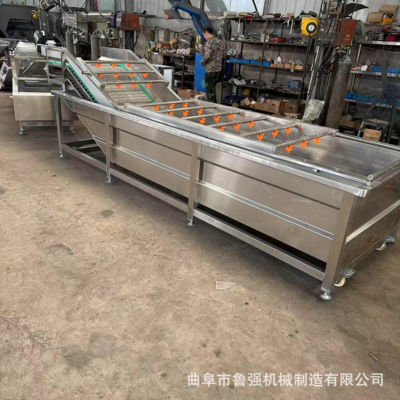 鲁强供应果蔬清洗机气泡冲浪式水果深度清洗设备净菜清洁器食品级
