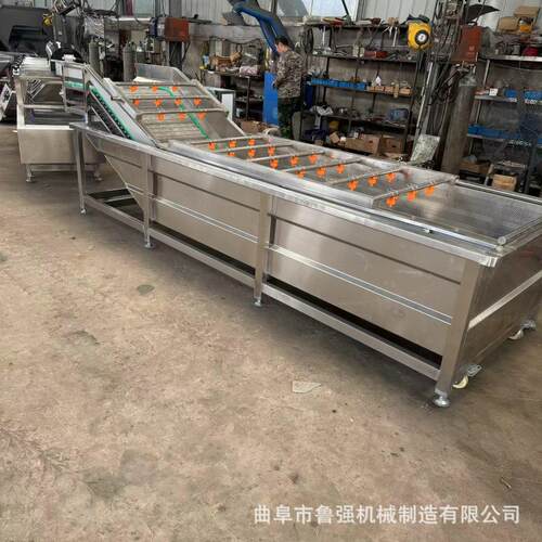 鲁强供应果蔬清洗机气泡冲浪式水果深度清洗设备净菜清洁器食品级