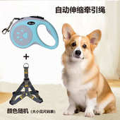 狗狗牵引绳自动伸缩遛狗外出小型中大型犬胸背带狗绳子狗链