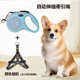 狗狗牵引绳自动伸缩遛狗外出小型中大型犬胸背带狗绳子狗链