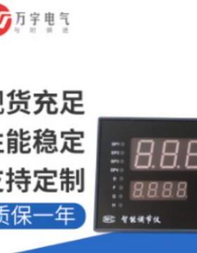 WYRH1199122PAS智能光柱控制仪厂家供应