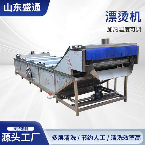 黄粉虫清洗漂烫机中药材折耳根加工设备大型板栗蒸煮机效率高