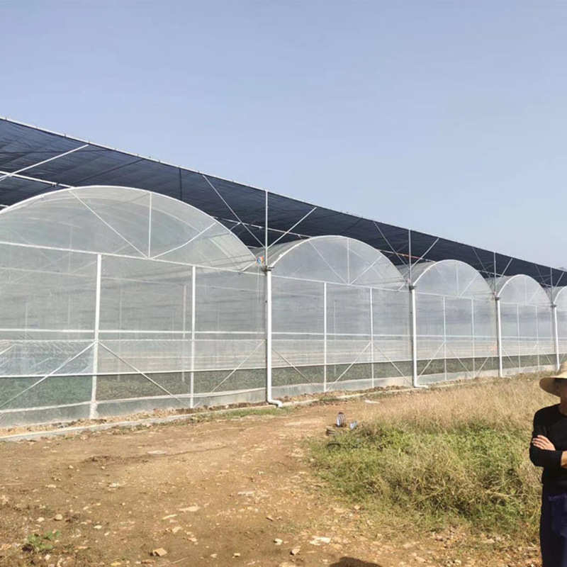 连栋薄膜大棚农业种植花卉采摘智能温室大棚骨架连栋拱形观光大棚
