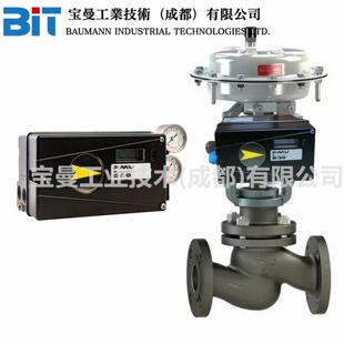 美国Flowserve福斯D30/D20型阀门数字智能定位器容量搭配控制阀