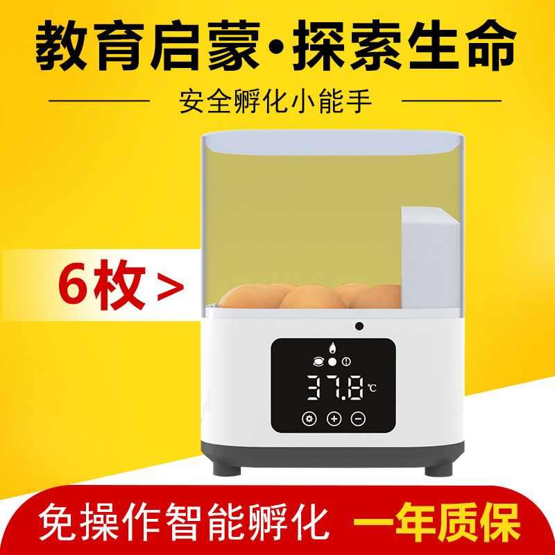 热销货源儿童玩具孵蛋器家用型6枚迷你鸟用鸭蛋孵化器智能孵蛋箱