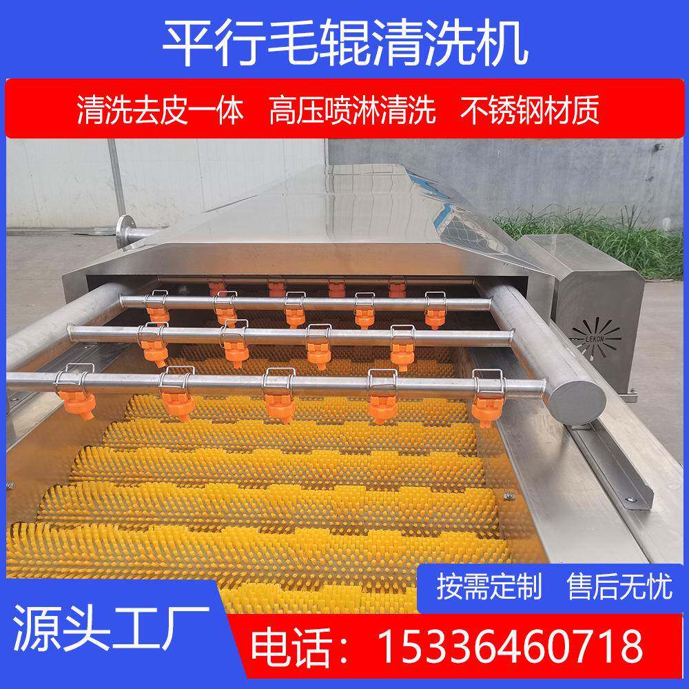 特价全自动海蛎子毛辊清洗机萝卜芋头生姜去皮清洗机生蚝清洗机
