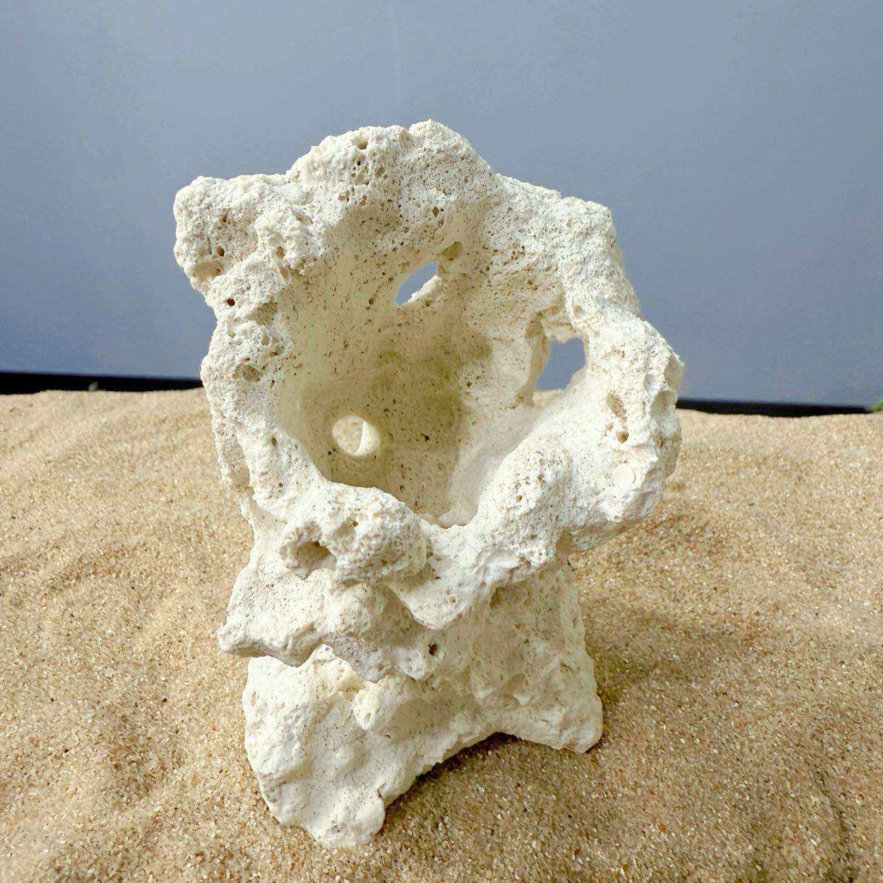 海之皇 陶瓷奶嘴窝成品海葵窝基座海缸躲避窝鱼缸造景装饰摆件