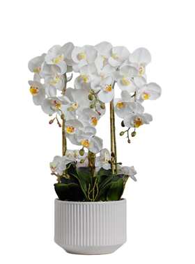 蝴蝶兰仿真花3d手感pu红色逼真仿真盆栽高级感客厅摆件成品大盆