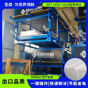 宝成直冷式块冰机冷库用条冰机蔬菜水产保鲜制冰机