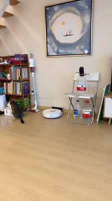 扫地机器人石头t60rr和IlifeT4哪个好，差别大不大？