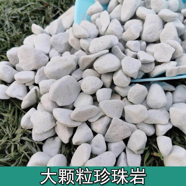 硬质珍珠岩颗粒大园艺养兰花月季石斛多肉营养拌土铺面