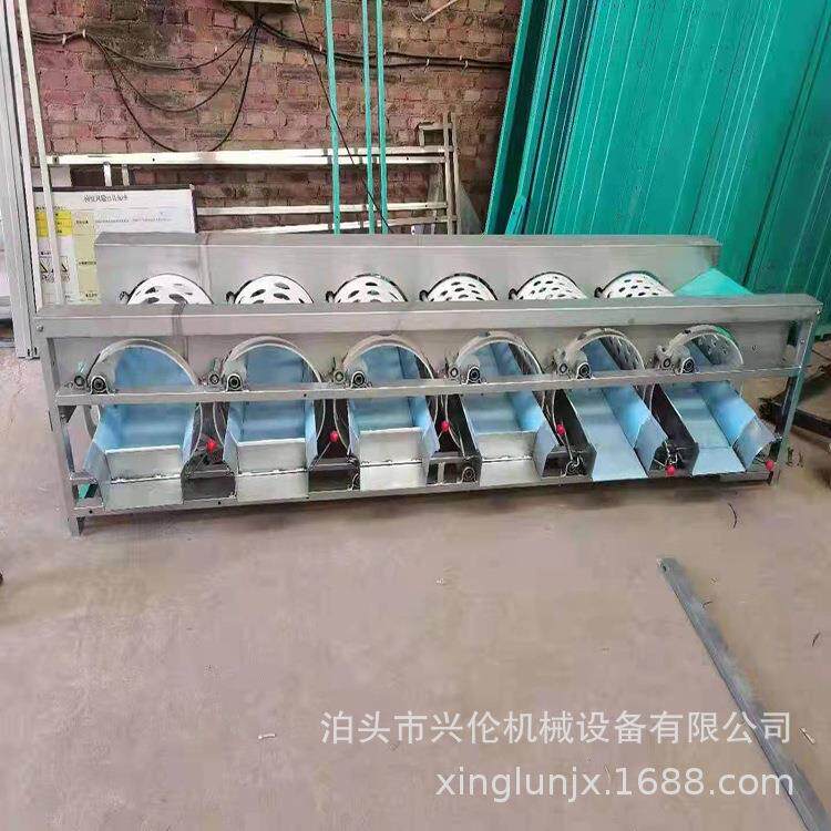 大蒜柿子分级机蜜橘分大小机桔子筛选机 小型滚桶式水果分选机