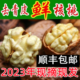 2023年新货去青皮核桃，新鲜生绿皮去青皮，湿鲜核桃薄皮野生干核桃