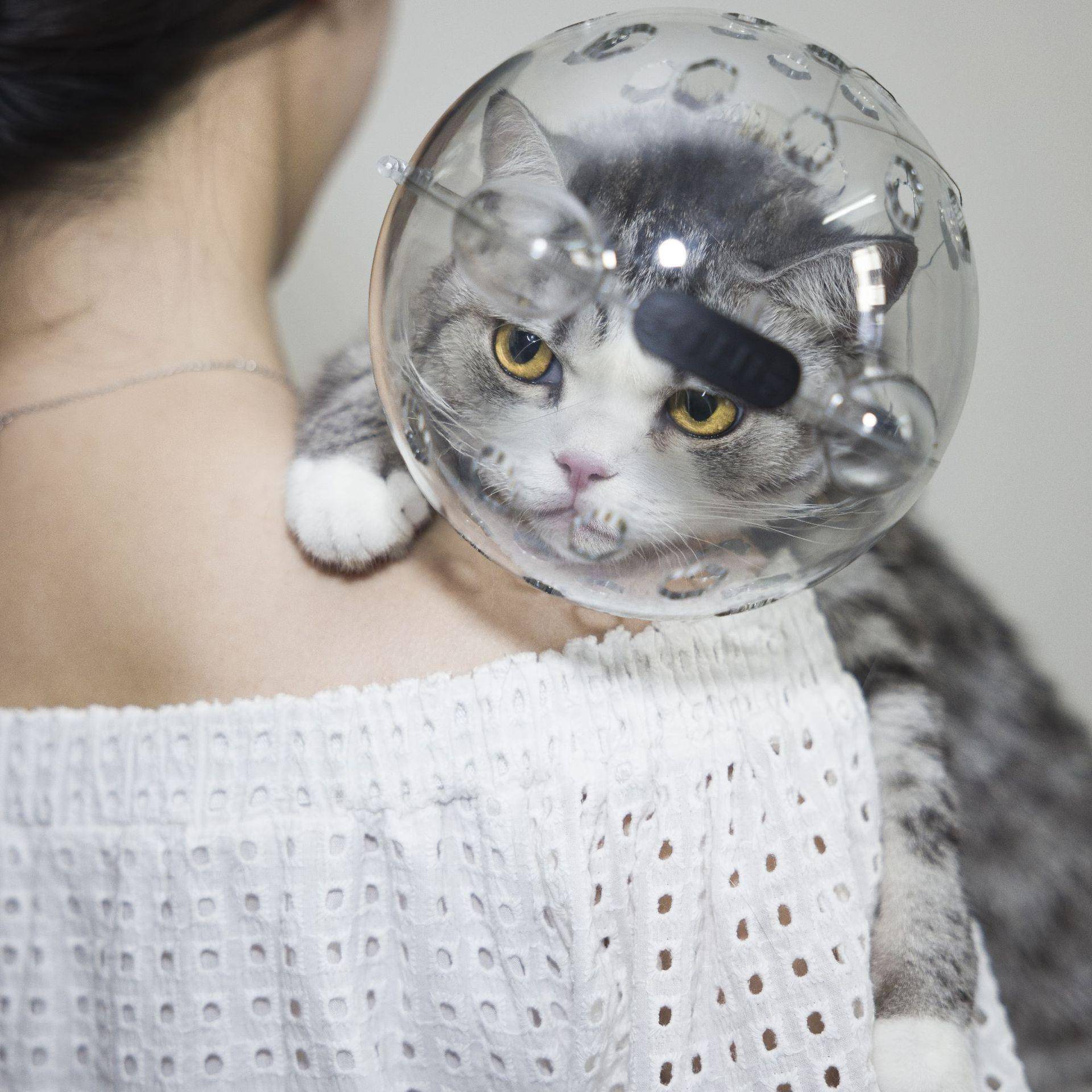 新款直销猫防咬剪指甲护理防护嘴套宠物用品头套猫咪太空罩