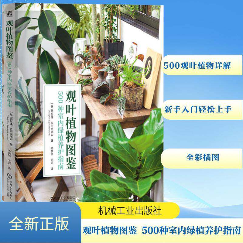 观叶植物图鉴 500种室内绿植养护指南 (泰)帕瓦蓬·苏班南