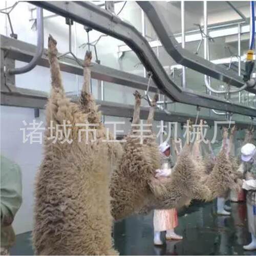定制厂家供应白脏副产悬挂加工线设备zf-zpmj-宰红白脏流水屠线
